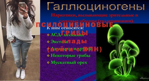 шишки Беломорск