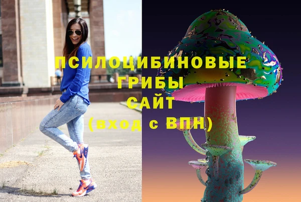 шишки Беломорск
