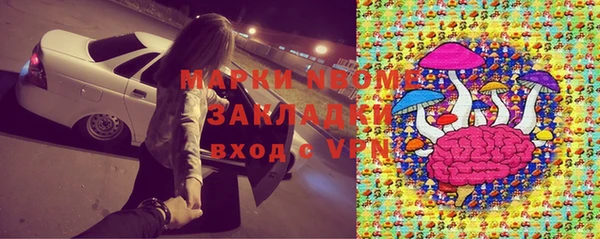шишки Беломорск